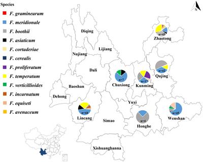 Species Diversity and Chemotypes of Fusarium Species Associated With Maize Stalk Rot in Yunnan Province of Southwest China